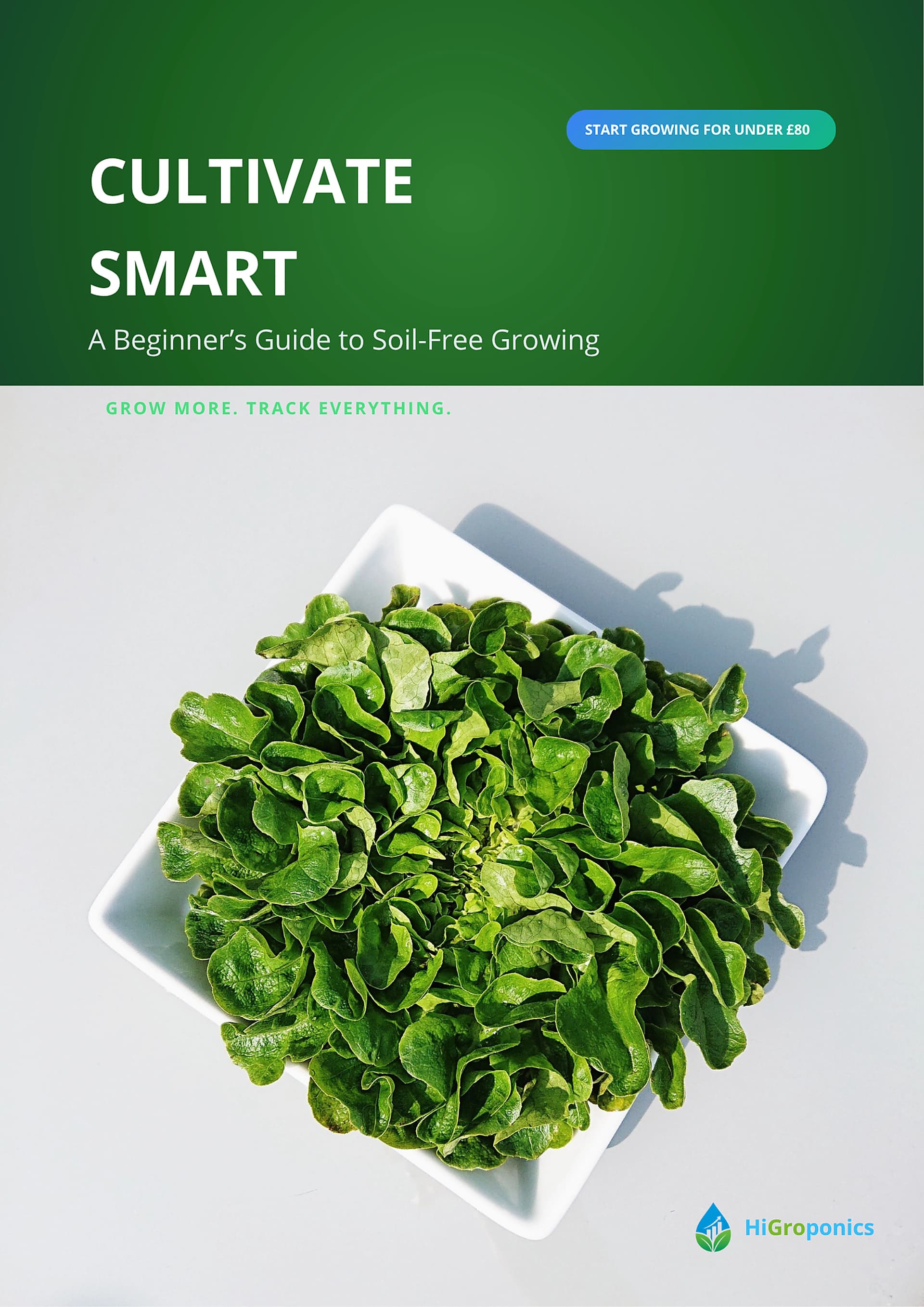 Cultivate Smart: A Beginner's Guide to Soil-Free Growing